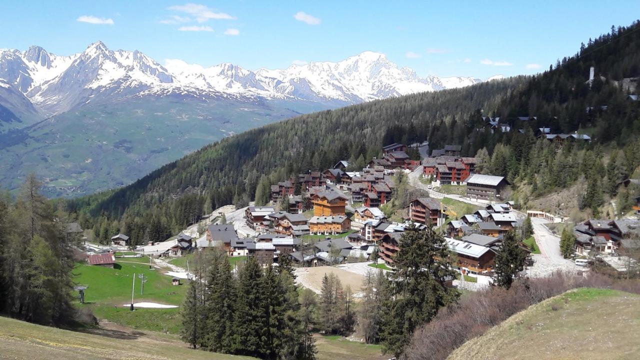 Digitale, Le Lauze Plagne 1800 La Plagne